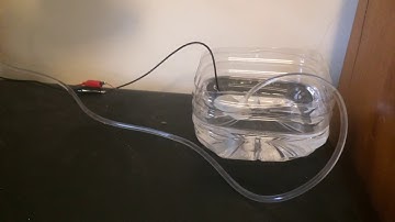 Raspberry Pi Automated Plant