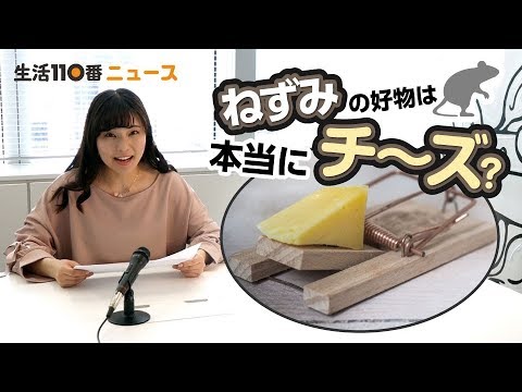 Vol 9 ネズミの好物は本当にチーズ Youtube