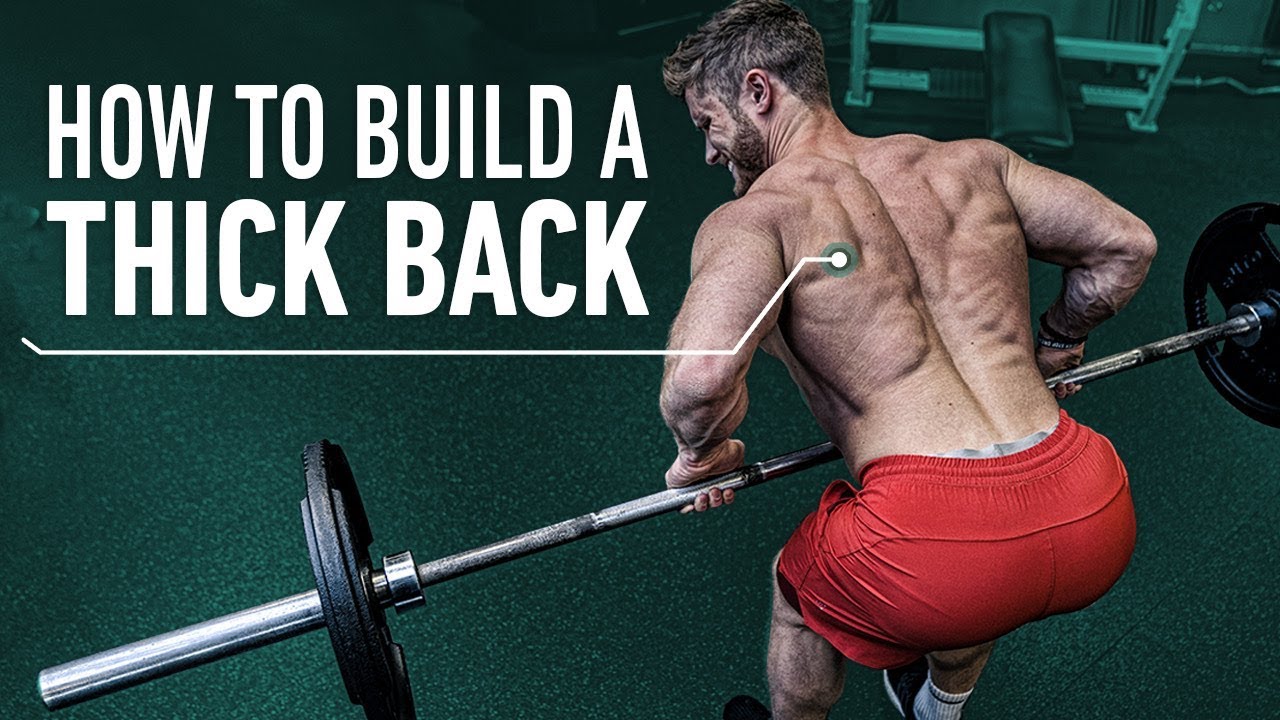 Download How To Build a Thick Back With Perfect Rowing Technique (Pendlay Row/ Helms Row)