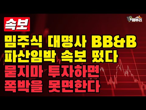   27달러 갔던 주가 1년만에 0 3달러로 밈주식 투자 이렇게 위험하다