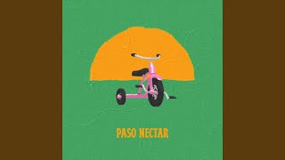 Vignette de la vidéo "Picnic Al Costado Del Camino - Dorado"