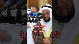 #تلاوة.#للشيخ #مشاري_العفاسي  #المسجد الكبير 🕋#youtubeshorts #shorts #shortsviral #اكسبلور #trending