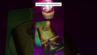 your partner's current feelings #tarot #nocontactreading #collectivereading #short #viralvideo yt