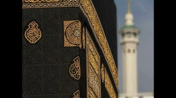 الشيخ زكي داغستاني رحمه الله سورة القلم