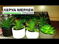 ✅ЛЕРУА МЕРЛЕН ЗАВЕЗЛИ КРУТЫЕ НОВИНКИ🍂СЕНТЯБРЬ 2020🥰ОБЗОР ПОЛОЧЕК Leroy Merlin