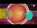 Human Eye - The Dr. Binocs Show | Best Learning Videos For Kids | Peekaboo Kidz