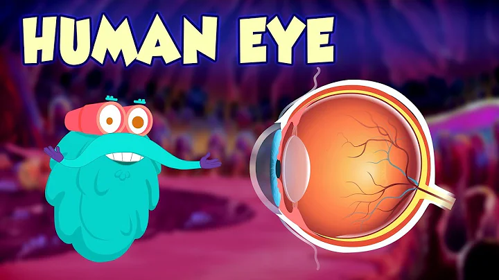 Human Eye - The Dr. Binocs Show | Best Learning Videos For Kids | Peekaboo Kidz - DayDayNews