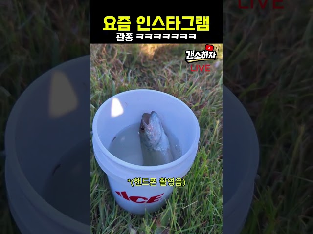 이게 진짜 낚시지 ㅋㅋㅋㅋㅋ