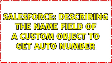 Salesforce: Describing the Name field of a Custom Object to get Auto Number (2 Solutions!!)