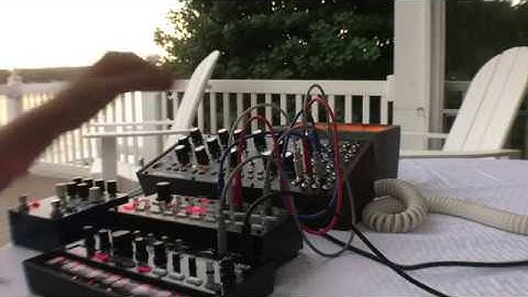 Evening Horn - Ambient Improvisation - Moog Mother 32 & Avalanche Run