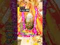Mahakaleswar jyotirling Live Darshan Ujjain 🌺| Mahakal Live Darshan 🌺l Mahakal Darshan ll #ujjain