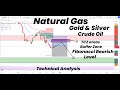 Natural gas fibonacci bearish levels buffer zone tcz gold  silvercrude oil  technical analysis