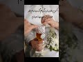 من هزار بار دیگر به دنیا بیام دلمو به تو میبازم عشق عروس ترند Wedding Loce Shorts من هزار بار دیگر به دنیا بیام دلمو به تو میبازم عشق عروس ترند Wedding Loce Shorts