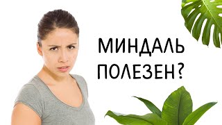 Польза и вред миндаля. Миндаль свойства. Польза и вред миндаля. Миндаль свойства.