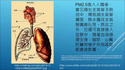 A5-1 PM2 5和PM10那個健康危害較大