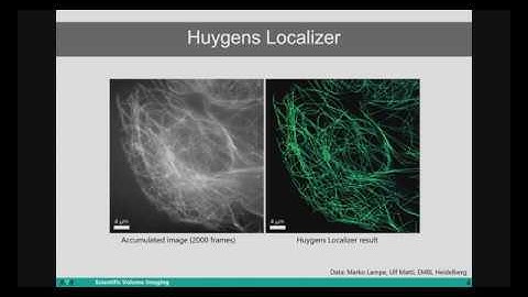 Huygens 2D & 3D LOCALIZER - Single Molecule Localization Microscopy Software