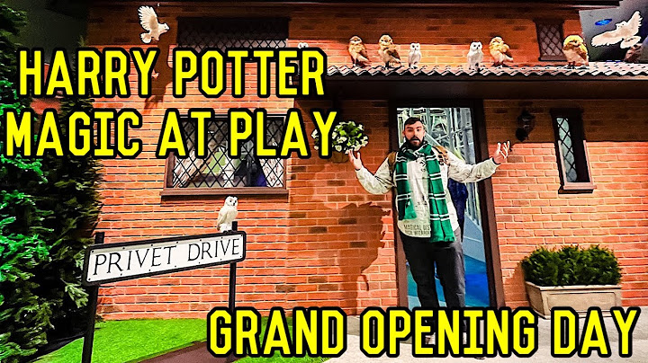 GRAND OPENING DAY Harry Potter: Magic At Play