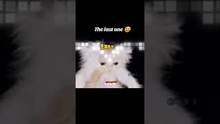 New Funny Animals 2023 🤩🤣 Funniest Cats and Dogs Videos 😸🐶