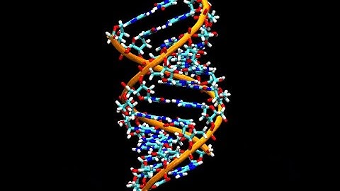 Advanced Web Animation with JavaScript.  Interactive spinning code [GSAP, Canvas]