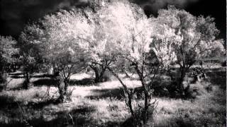 Download Lagu Zhaoze - 1911第四回 4th mov. MP3