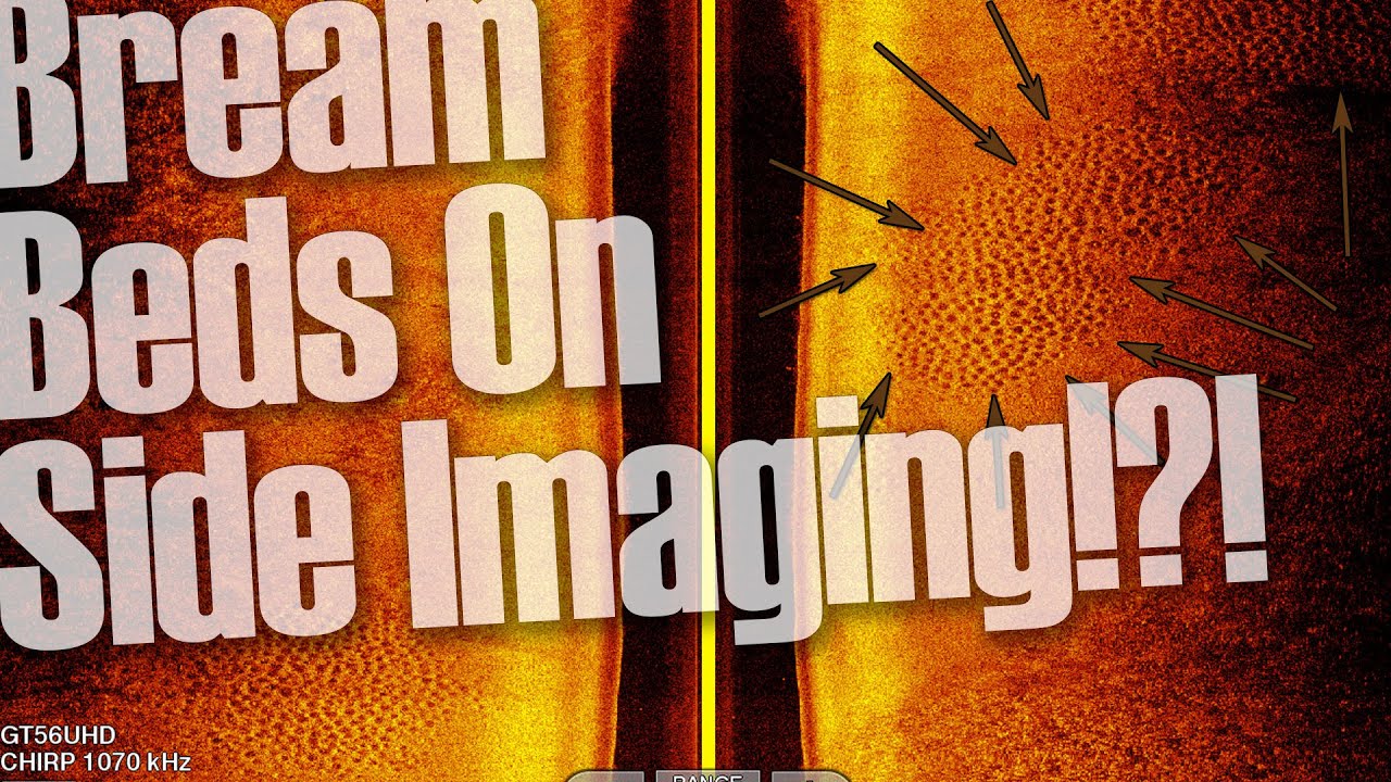 Bream Beds ?!?! What they look like on side imagine Screen Shot