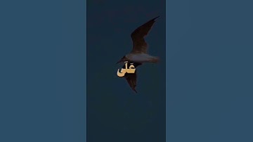 قران كريم🕋🕋🎧#اكسبلور #capcut #دويتو #المصحف #لايك #تيك_توك #قرآن #ترند #duet