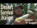 Survival Desert Sugar Water -Yucca Juice-