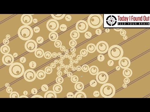 How the Crop Circle Phenomenon Got Started