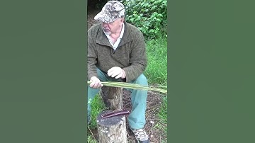 Part 1 - Making Natural Cordage From Stinging Nettles - #shorts