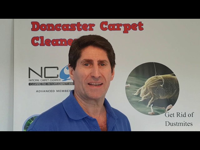 Carpet Cleaners in Cantley