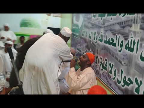 قلبي يحدثني السادة البرهانية يعطرون مجلس التحفة ة ٤ ٧ ٢٠٢٠
