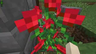 cursed walking test the game