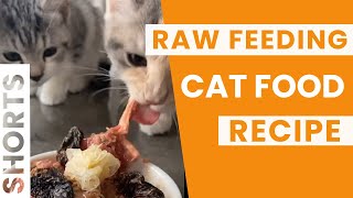 How I Raw Feed My Kittens How To