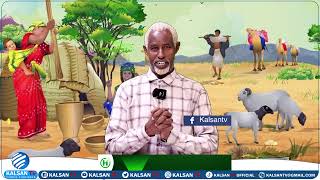 Программа «Культурные таланты» Kalsan TV Автор: Устаад Абдуллахи Тима Каде, 15 февраля 2026 г. screenshot 4