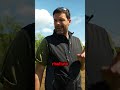 Cosa piantare nell'orto proprio ADESSO!
