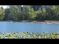 ★ Canadian Dragon Boat Championships 2013 Day 3 Race 128 Storm