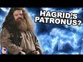 Hagrid's Patronus | Harry Potter Theory