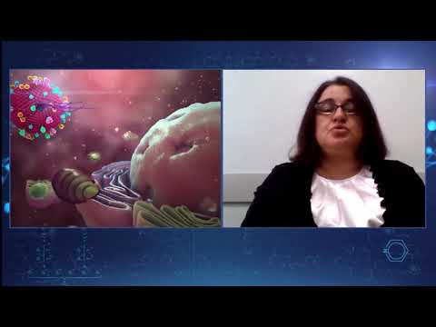 იმპულსი-მთავარი თემა: როგორ დავიცვათ თავი კორონავირუსისგან?