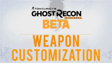 Weapon Customization. Closed Beta - Ghost Recon Wildlands