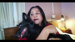 Funny Dog Videos | German Shepherd & CameraBaba