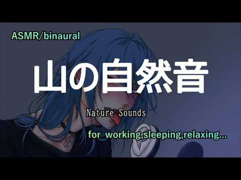 【ASMR/Binaural】150分 自然音 落ち着く森や山の音 two hour & half hour  Nature Sounds of a forest for Relaxing