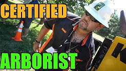 How to Become A Certified Arborist - Tree Care - Landscaping Interview with Daniel Miraval