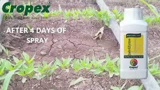 Jaivizyme Humic Fulvic Acid -Biostimulant