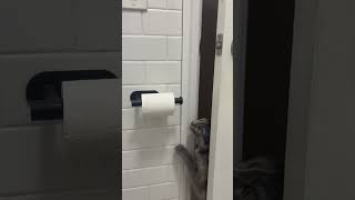 IMG 5006