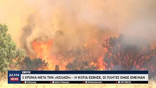 Έβρος: 3 χρόνια από την «κόλαση» του Αυγούστου 2023 –Η φωτιά έσβησε, οι πληγές παραμένουν ανεξίτηλες