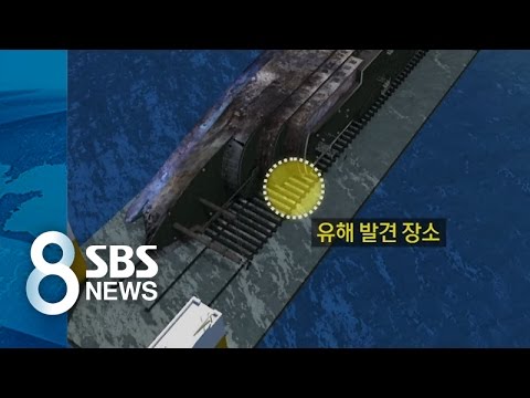 앞머리 근처서 발견..나머지는? / SBS