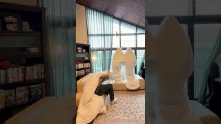 오후셋이가 숙소에서 노는 법 👻👻👻 | #2PM #오후셋이 #숙소생활