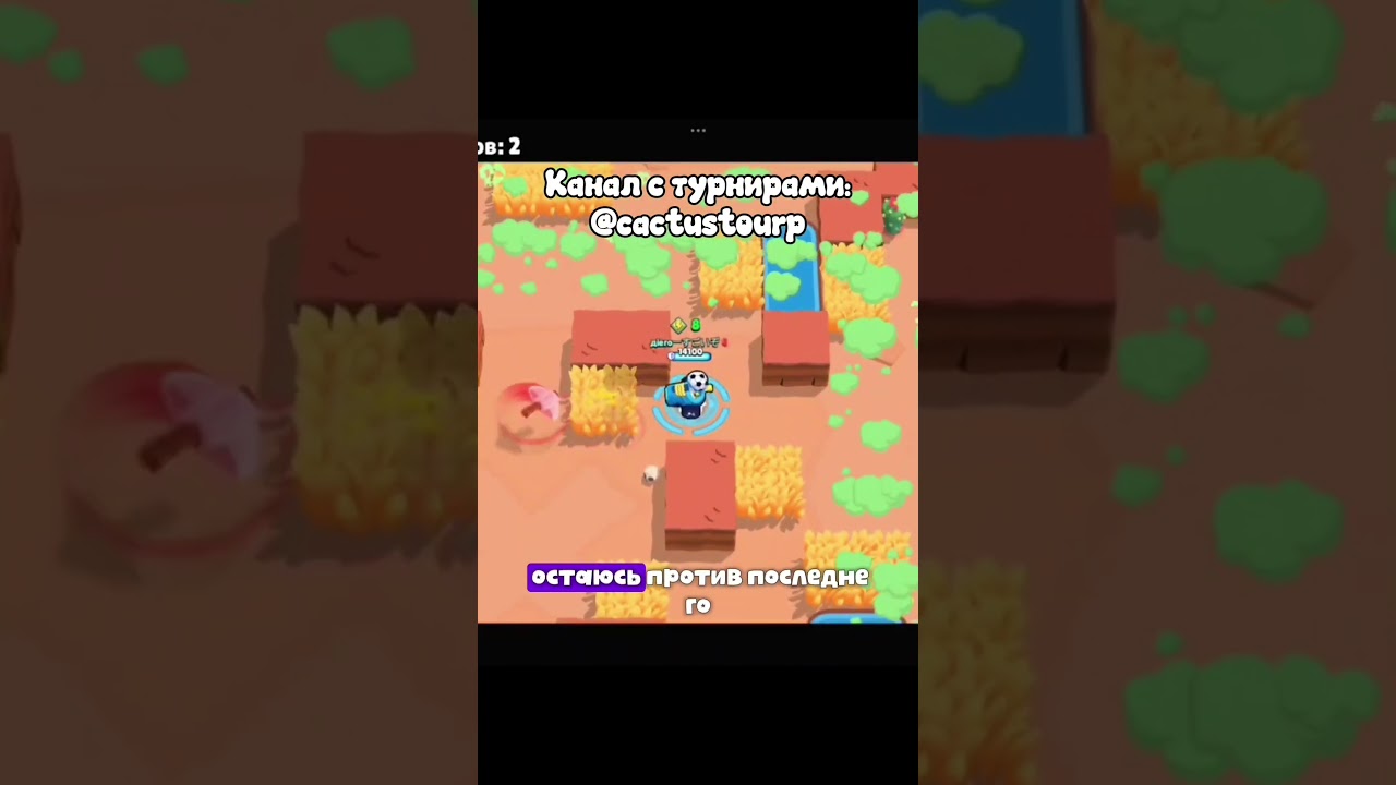 турниры тут: @cactustourp
