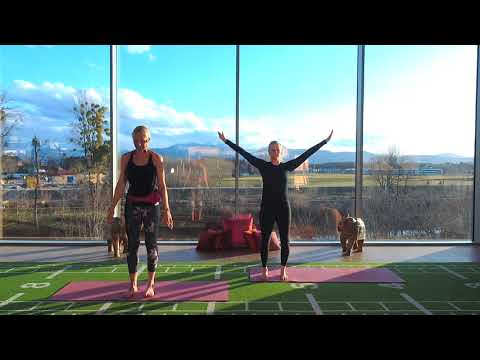 PILATES FLOW mit Heike & Johanna - ONLINE YOGA - ONLINE KURSE