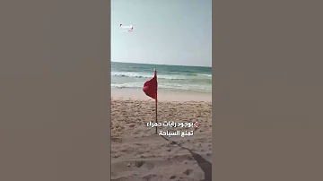 غرق 6 فتيات وإنقاذ 28 أخريات في شاطئ أبو تلات بالإسكندرية 